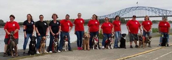 Canines with their Companion